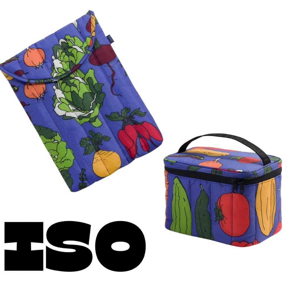 ISO: BAGGU (DO NOT BUY)